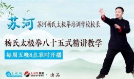 杨氏太极91式直播,直播带你领略传统武术魅力